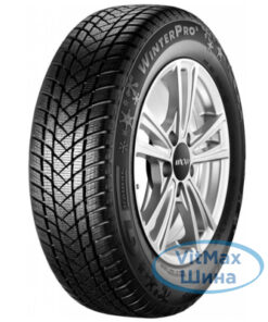 GT Radial WinterPro2